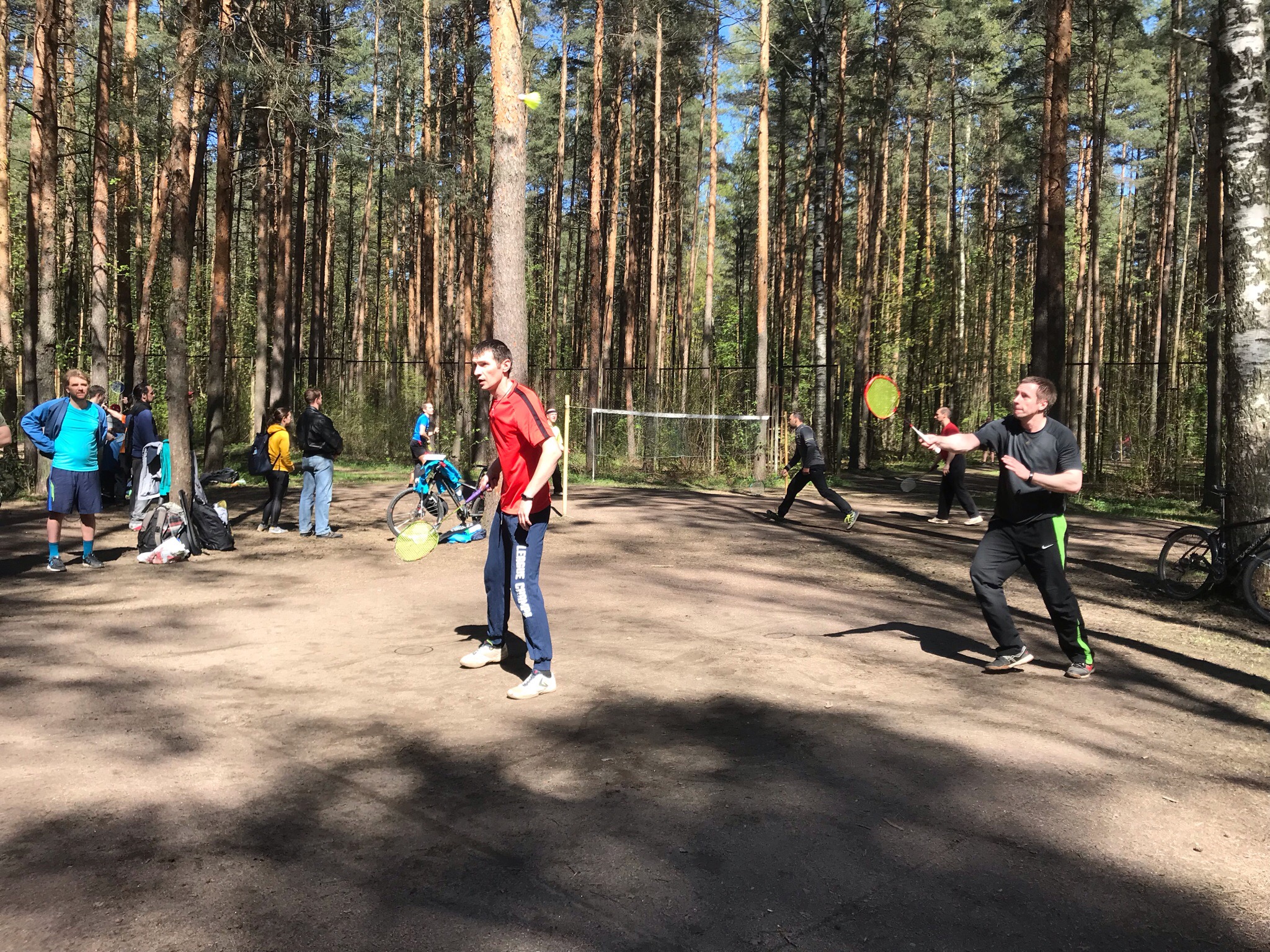 Сосновка