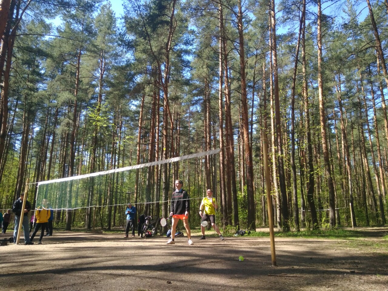 Сосновка