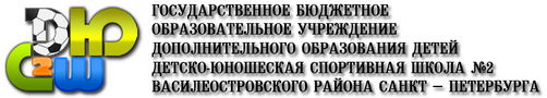 ГБОУ ДОД ДЮСШ № 2