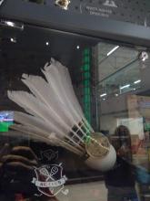 Сквош в клубе RC Club